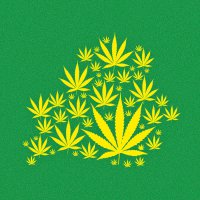 Legalize Belarus logo